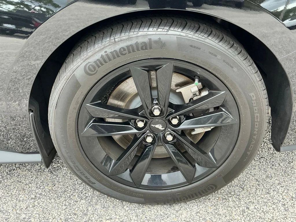 Used 2025 Black Ford GT image 30