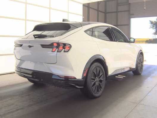 Used 2025 Star White Ford Premium image 5