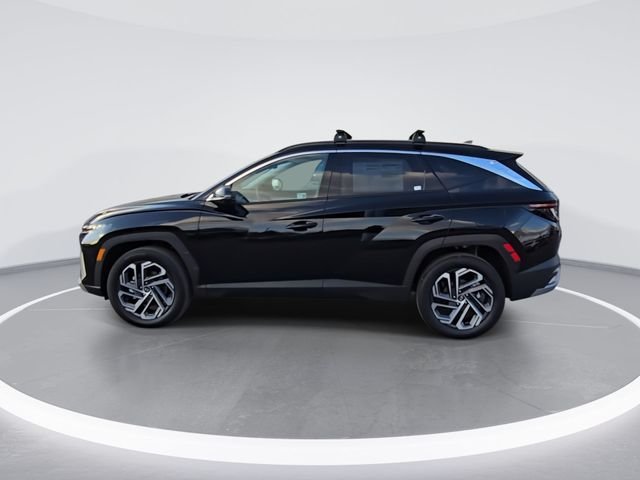 Used 2025 Gray Hyundai Limited image 5