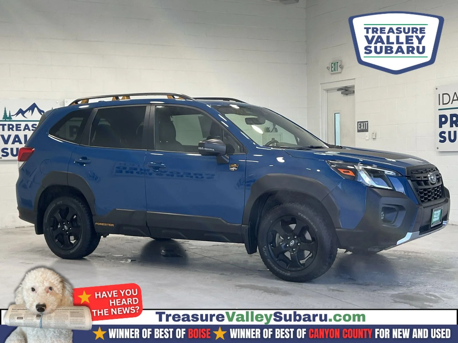 2022 Subaru Forester Wilderness's photo