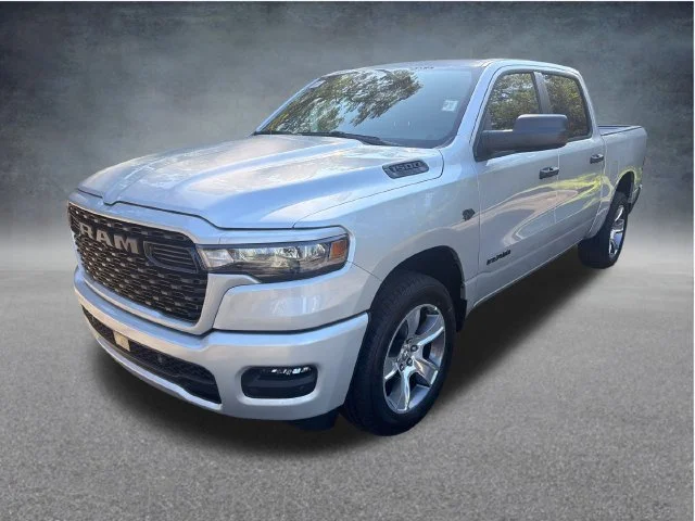 New 2027 Silver Zynith Exterior Paint RAM Express image 3