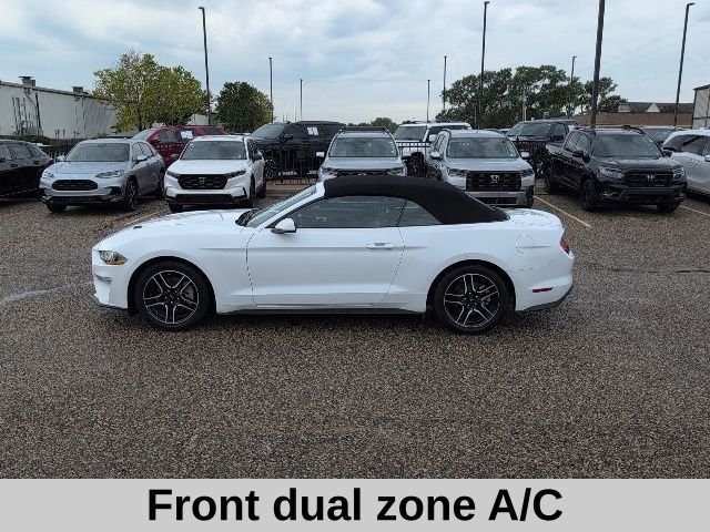 Used 2023 White Ford EcoBoost Premium image 3