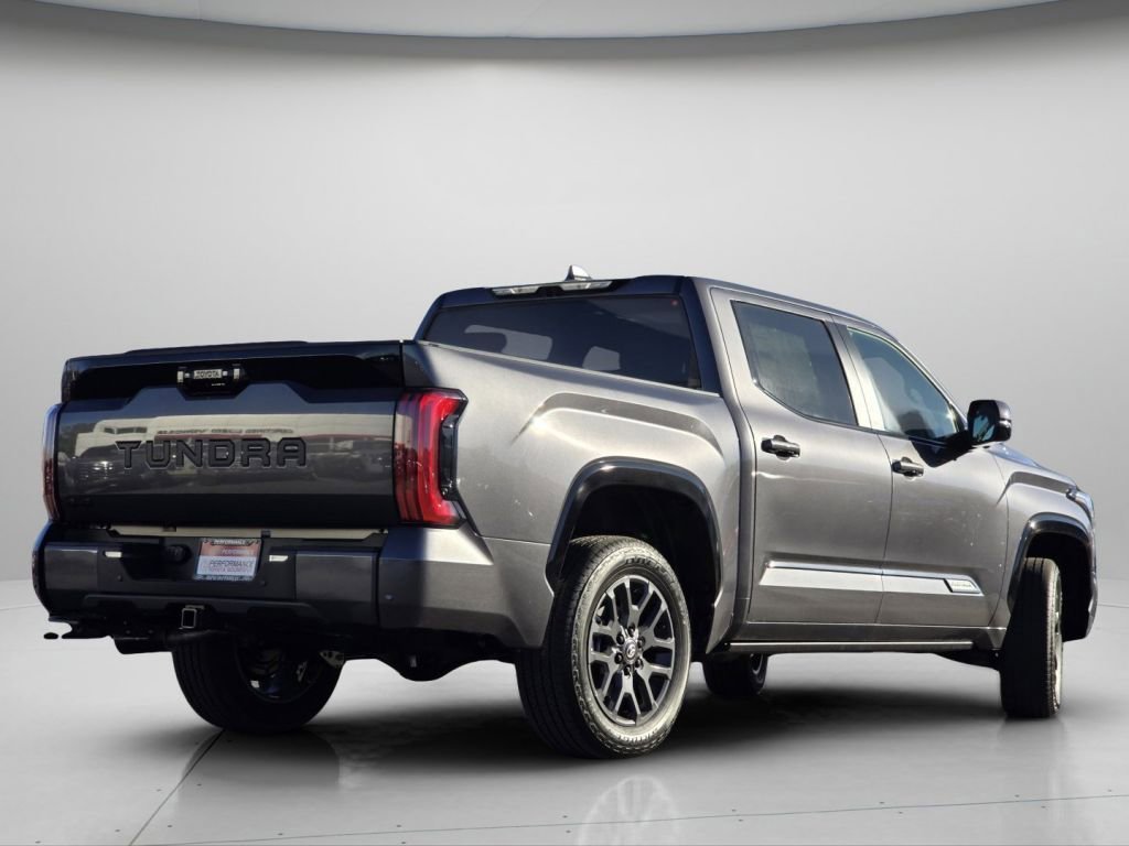 New 2026 Magnetic Gray Metallic Toyota Platinum image 29