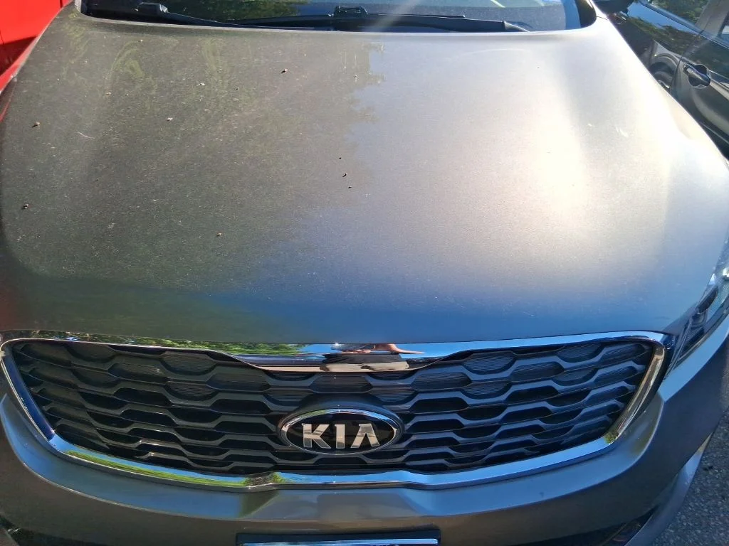 Used 2019 Silver Kia EX image 16