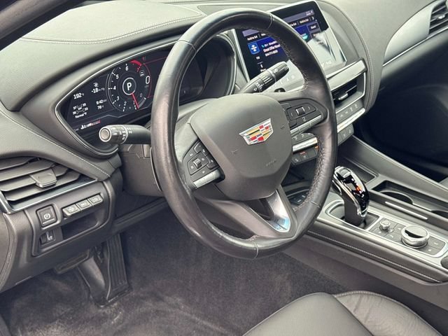 Photo 19