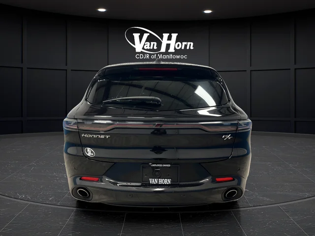 Used 2024 8 Ball Dodge R/T image 6