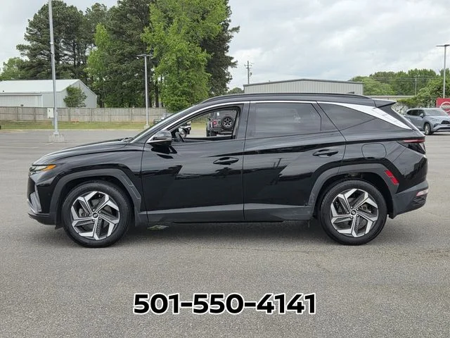 5NMJE3DE9RH311596