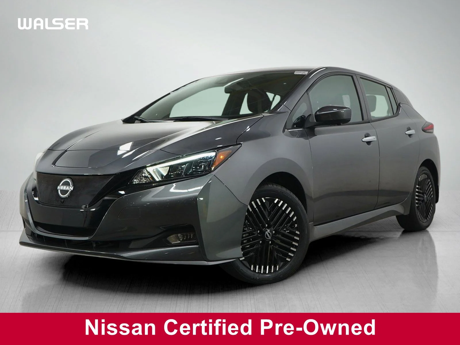 2025 Nissan Leaf SV PLUS's photo
