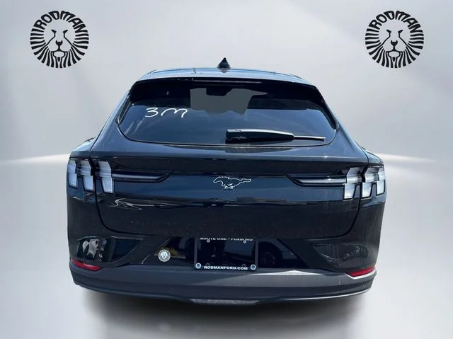 New 2026 Shadow Black Ford Premium image 6