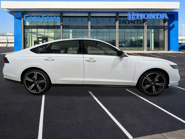 New 2026 Platinum White Pearl Honda SE image 7