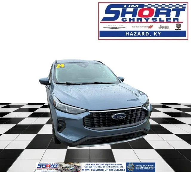 Used 2024  Ford Platinum image 1