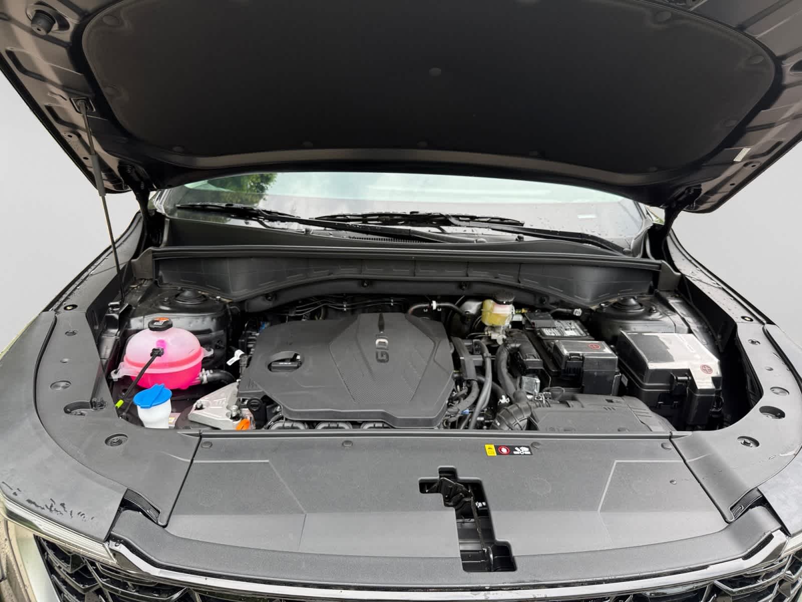 New 2026 Ebony Black Kia S image 24