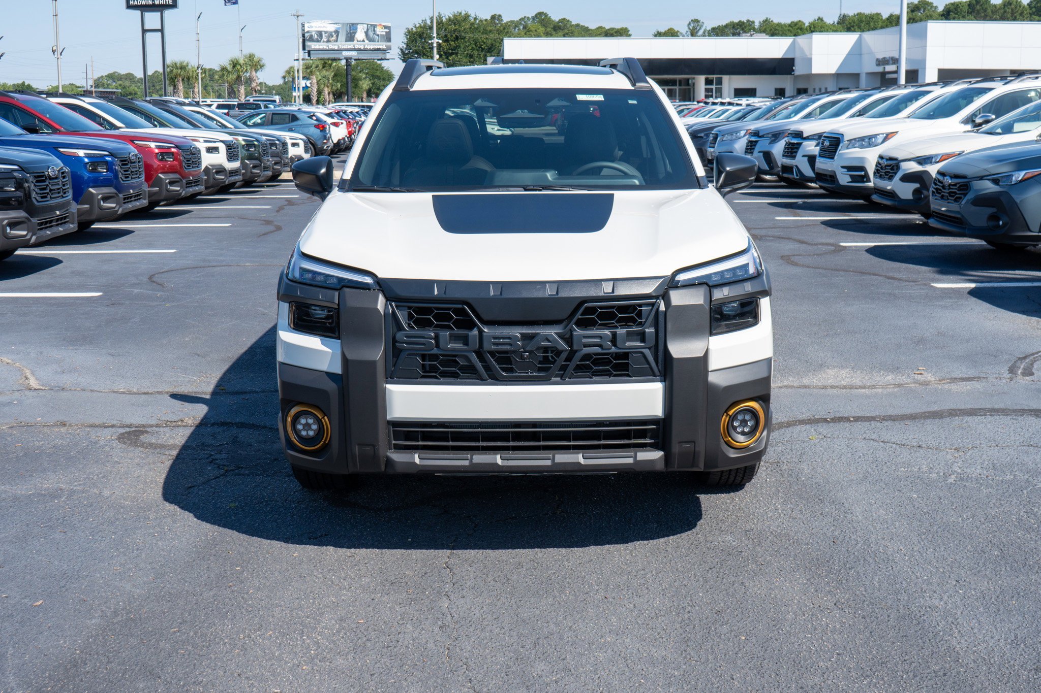 New 2026 CRYSTAL WHITE PEARL Subaru Wilderness image 8