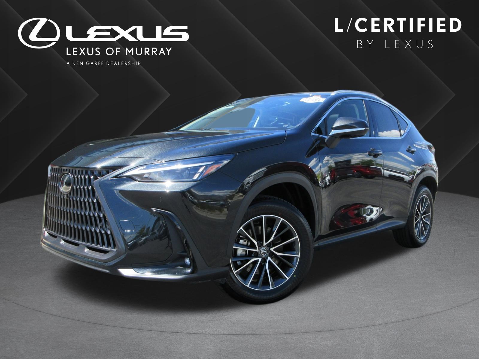 2025 Lexus NX 350h 350h Premium AWD's photo