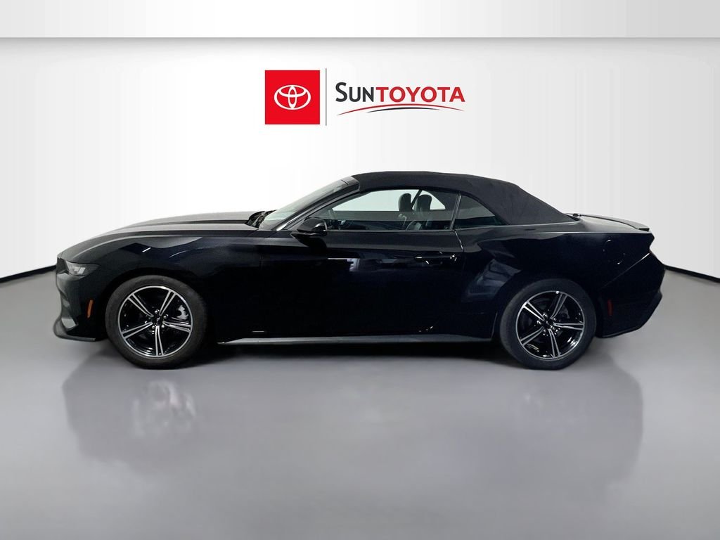 Used 2024 Black Ford EcoBoost Premium image 7