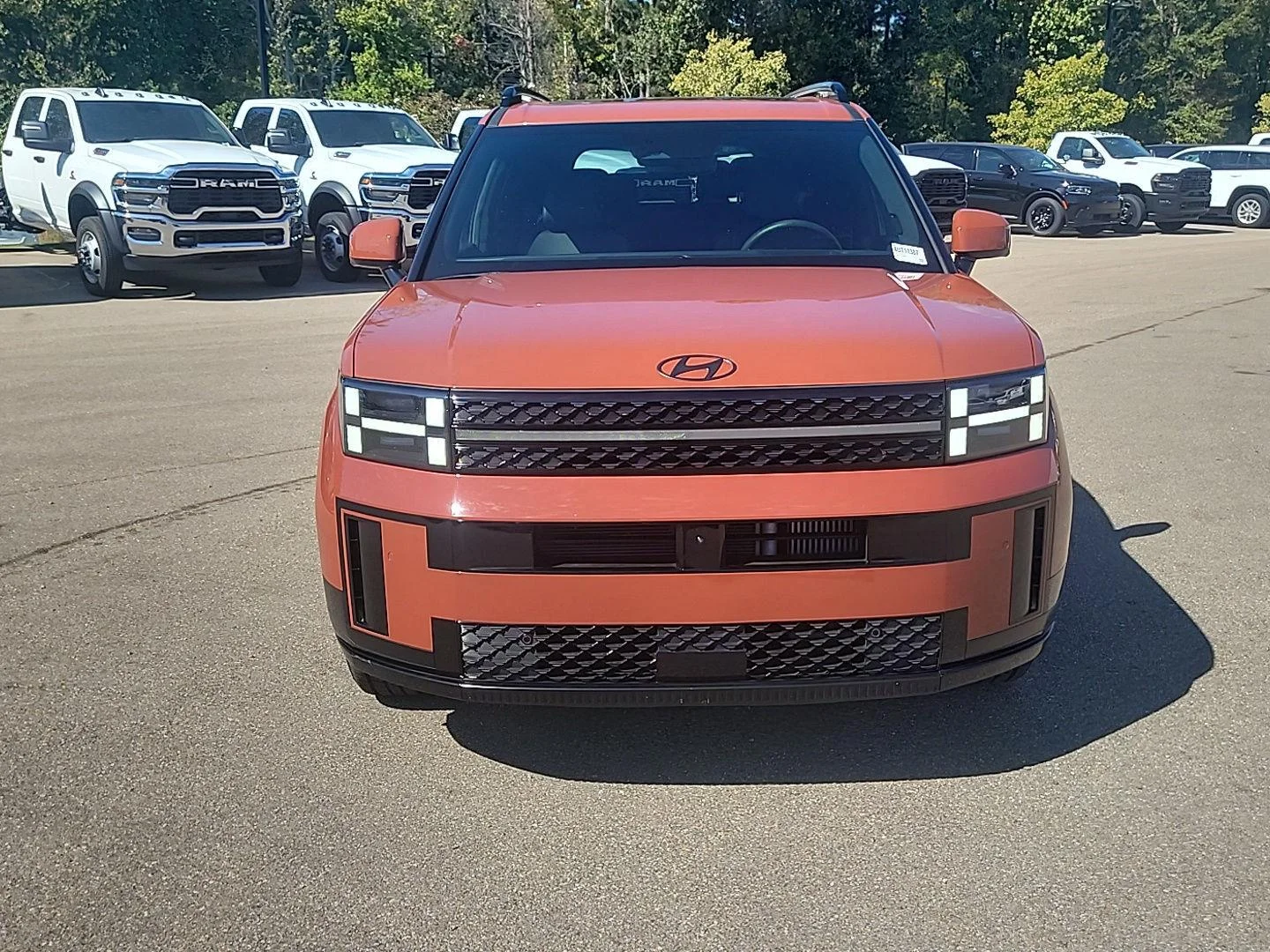 Used 2024 Terracotta Orange Hyundai Calligraphy image 20