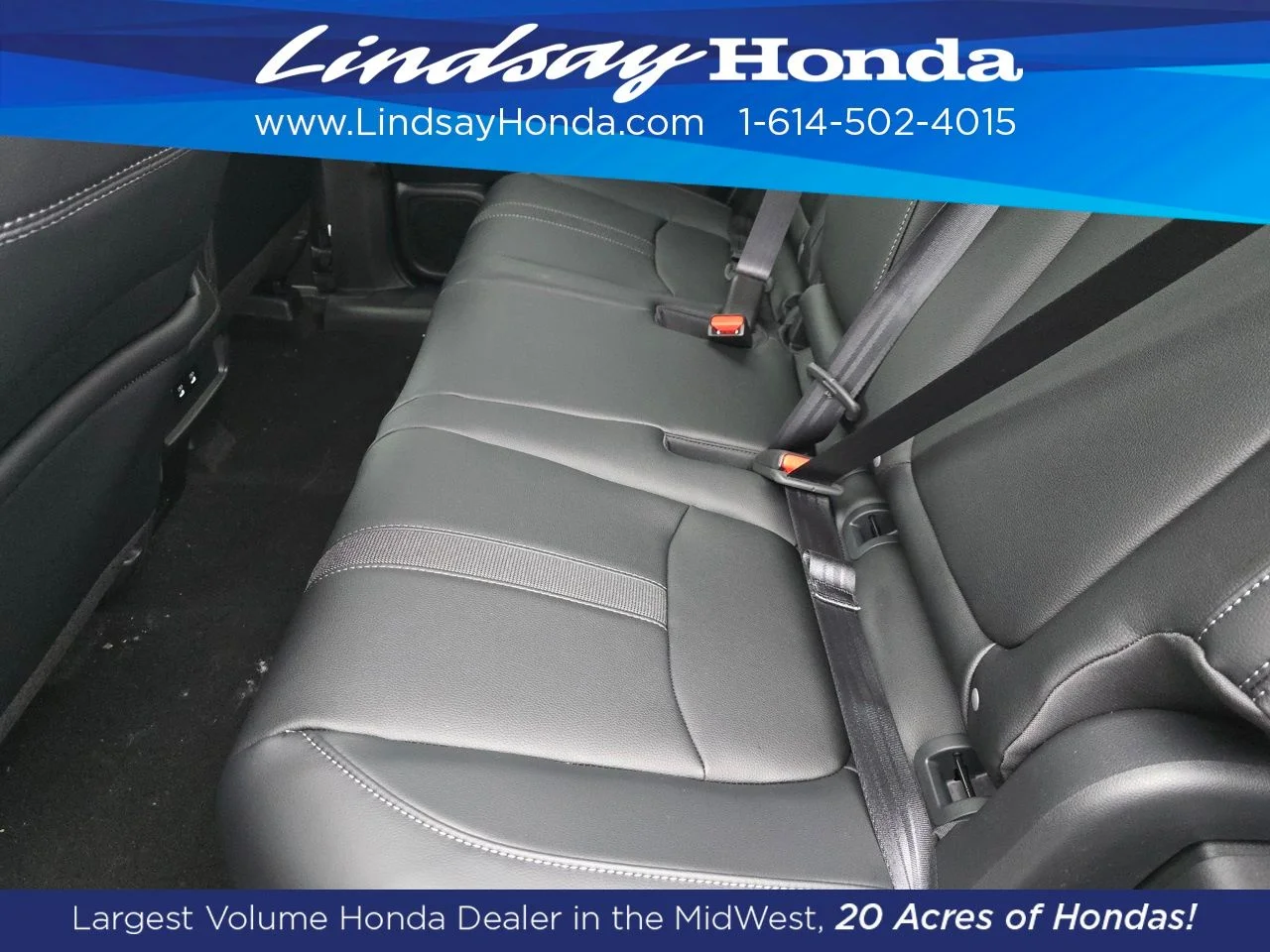 New 2026 Platinum White Pearl Honda RTL image 3