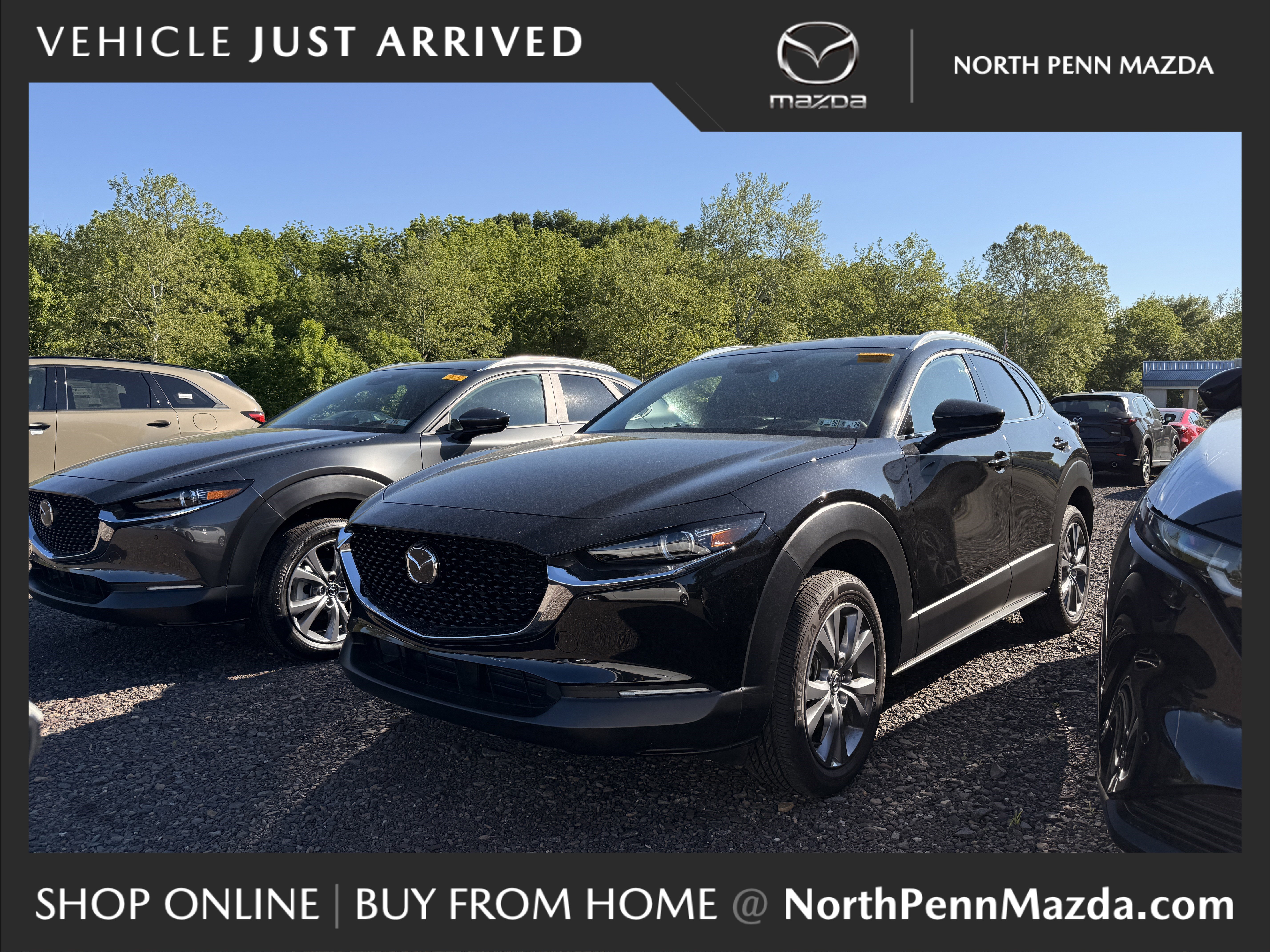 2025 Mazda CX-30 Premium AWD's photo