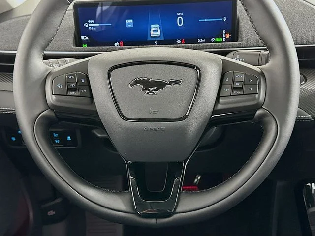 New 2026 Gray Ford Premium image 15