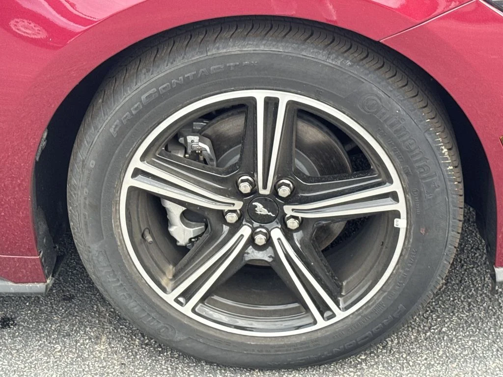 New 2025 Molten Magenta Metallic Tri-coat Ford EcoBoost® Fastback image 12