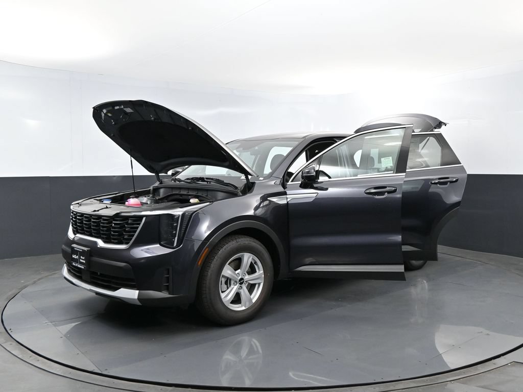 New 2026 Panthera Metal Kia LX image 27