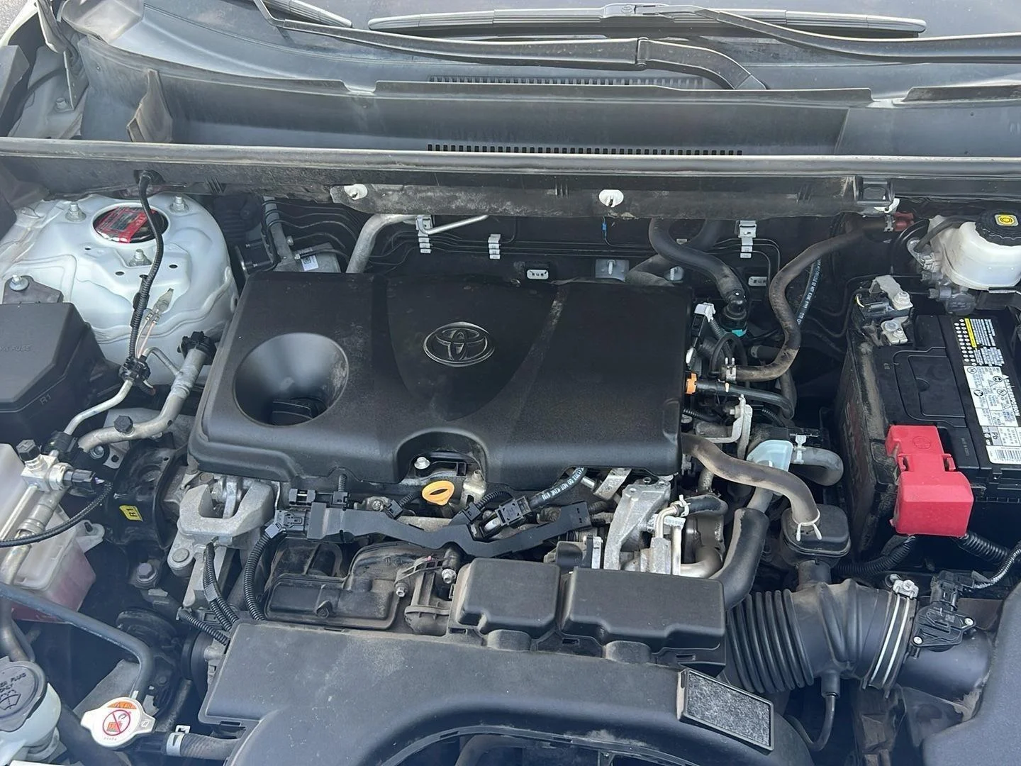 Used 2021 Super White Toyota XLE image 24