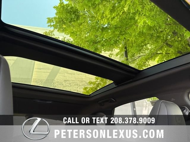 New 2026 Infrared Lexus NX 350h F SPORT HANDLING AWD image 13