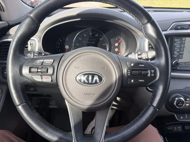 Used 2017 Red Kia SX image 16