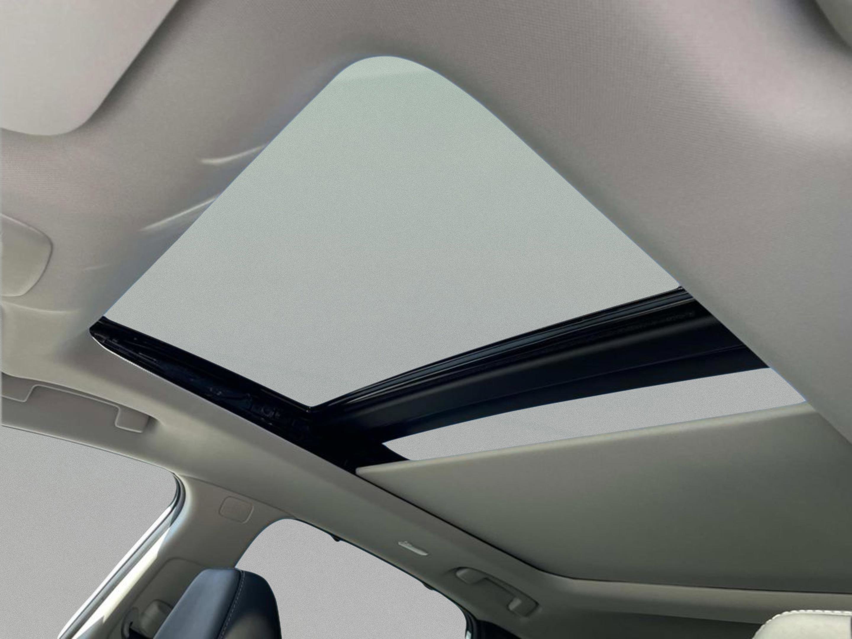 New 2026 Everest White Pearl TriCoat / Super Black Two-tone Nissan Platinum image 21