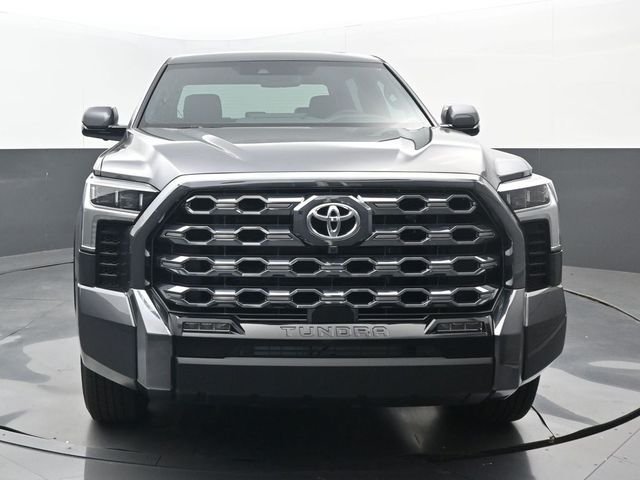 New 2026 Magnetic Gray Metallic Toyota Platinum image 20