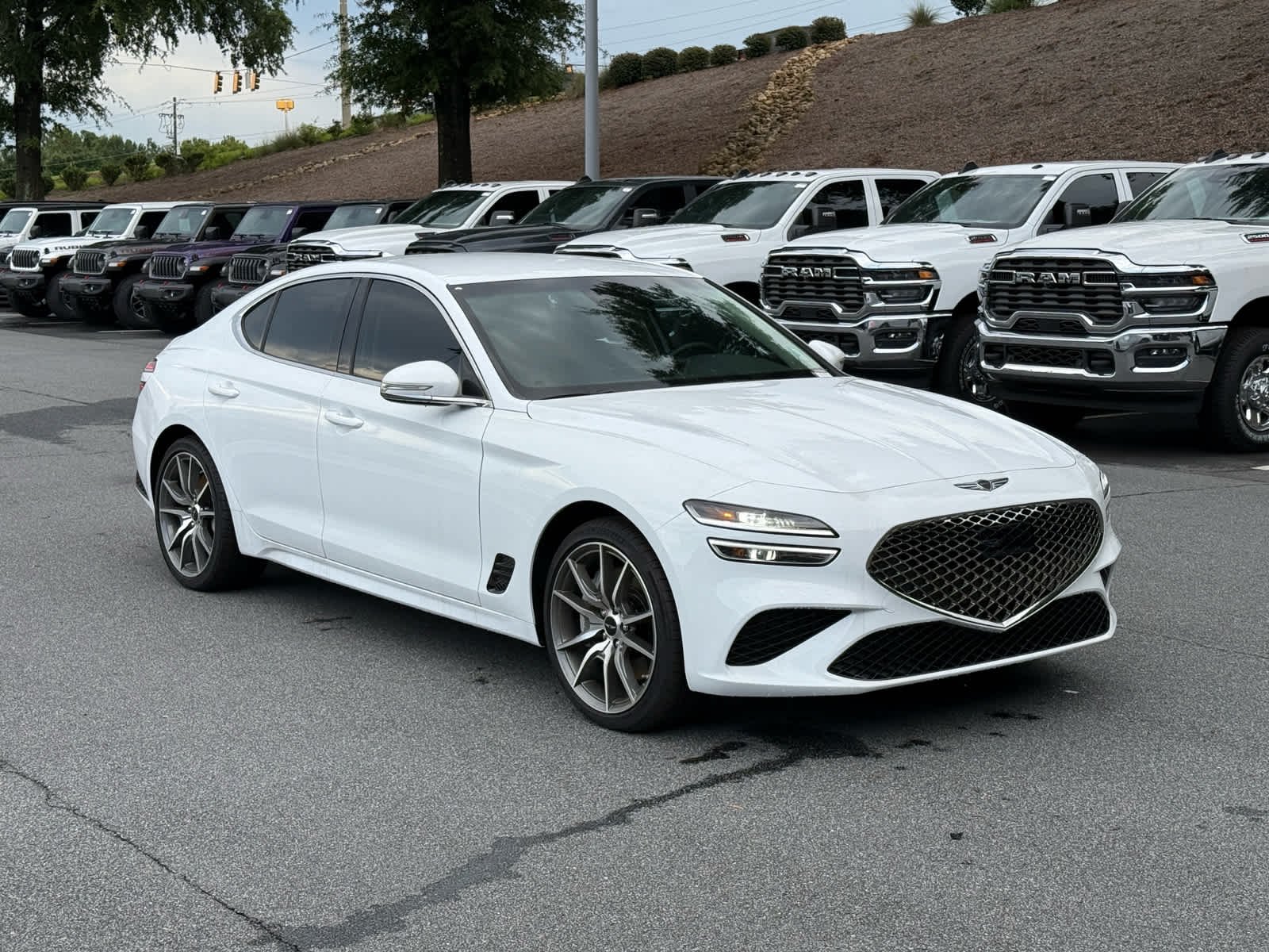 Used 2025 Alta White Genesis 2.5T image 7