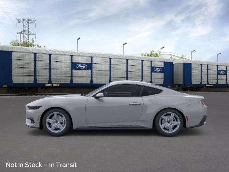 New 2026 Avalanche Gray Ford EcoBoost image 4