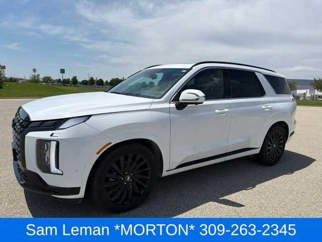 2025 Hyundai Palisade Calligraphy Night Edition AWD's photo