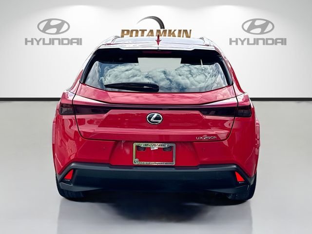 Used 2024 Red Lexus 250h Premium image 6