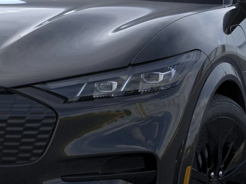 New 2026 Shadow Black Ford GT image 18