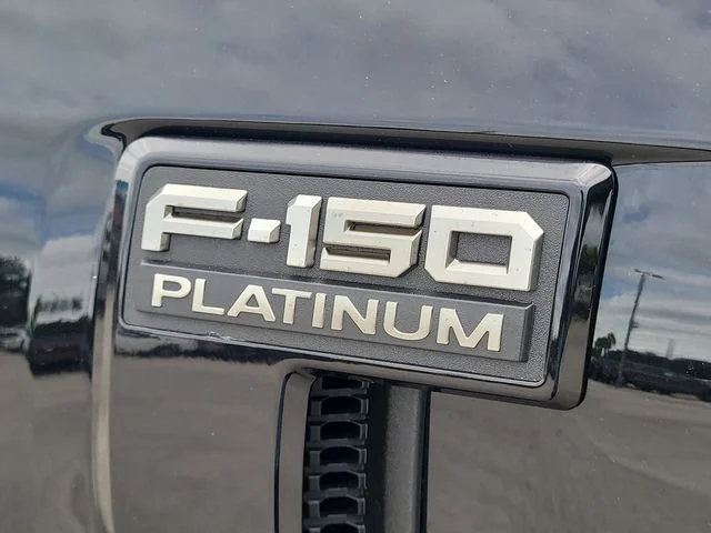 New 2026 Black Metallic Ford Platinum image 9