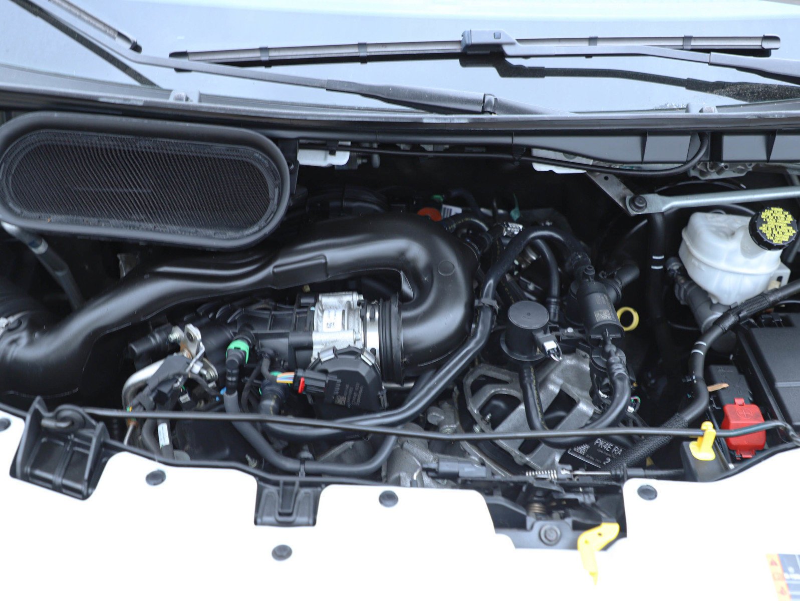 Used 2024 Oxford White Ford Xlt image 26