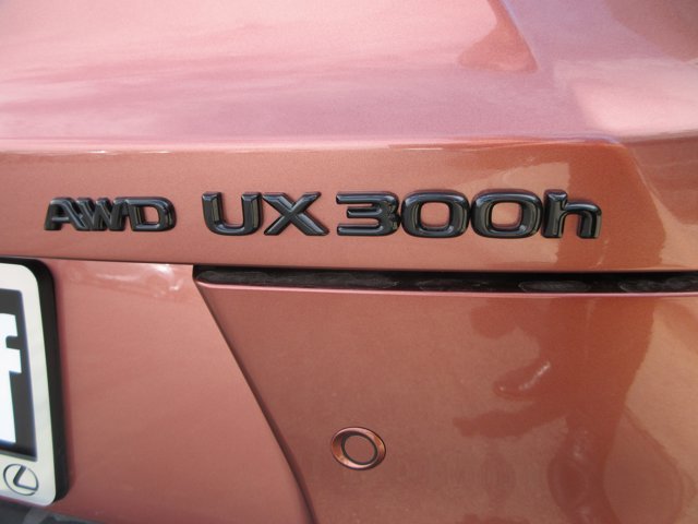 New 2026 Copper Crest with Obsidian roof Lexus F SPORT DESIGN AWD image 14