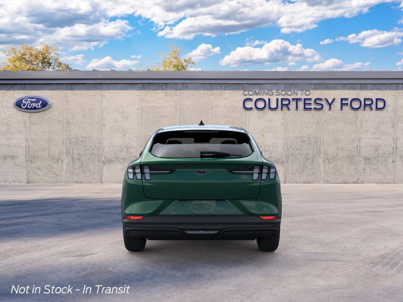 New 2026 Eruption Green Metallic Ford Select image 5