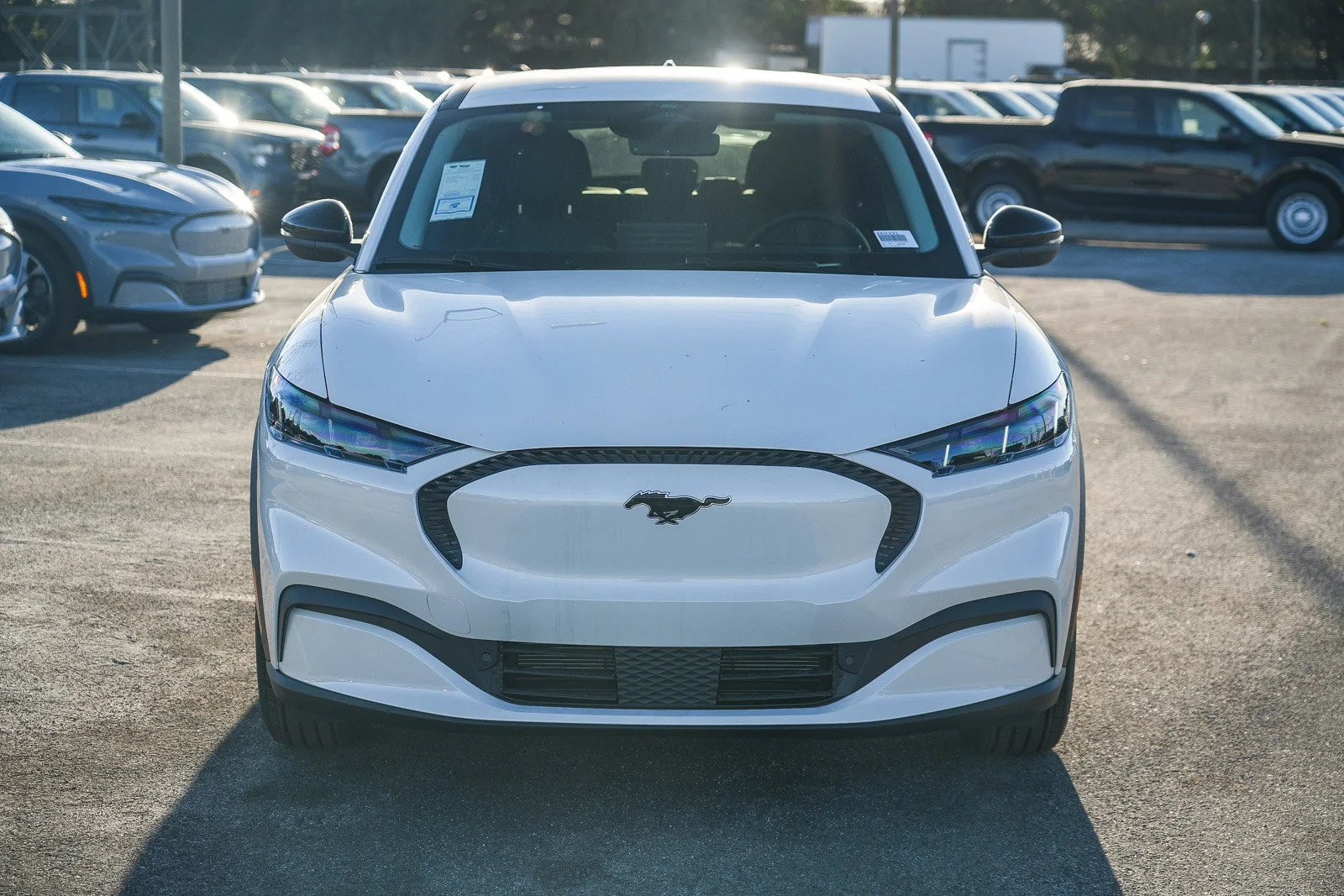 New 2026 Star White Metallic Tri-coat Ford Select image 4