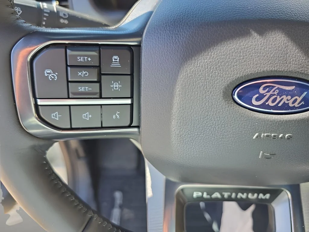 2025 Ford F-150 Platinum - Photo 17