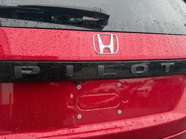 Used 2024 Red Honda Elite image 43