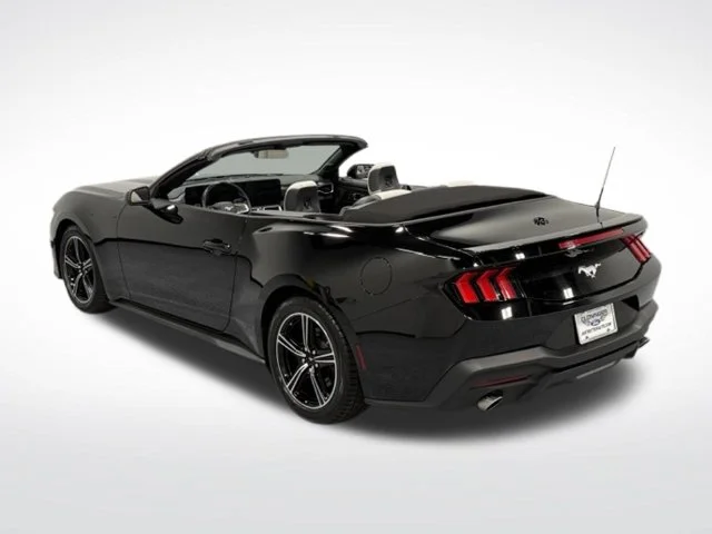 Used 2024 Black Ford EcoBoost Premium image 8