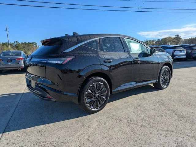 New 2026 Super Black Nissan Platinum image 4