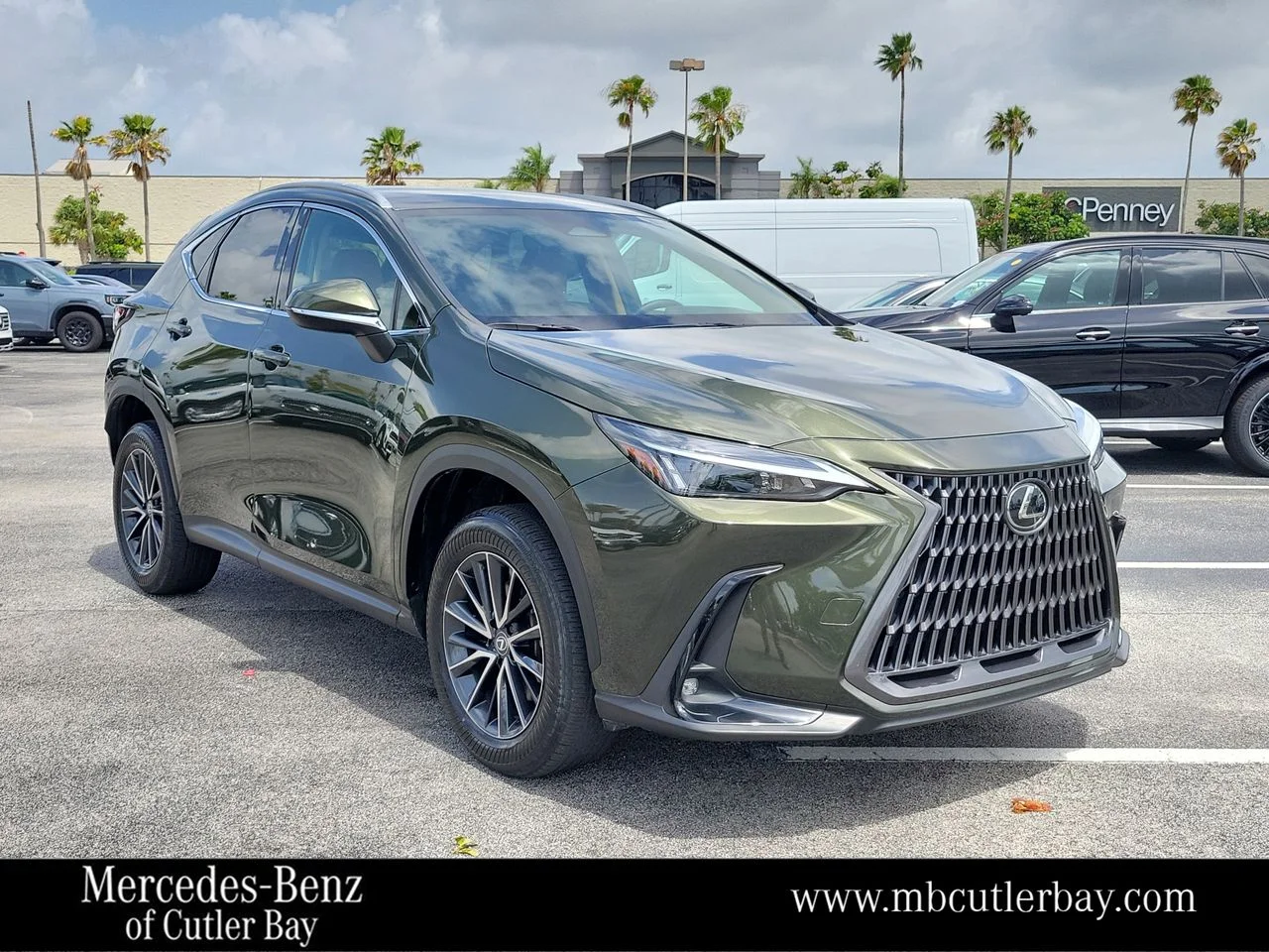 2024 Lexus NX 350 250 FWD's photo