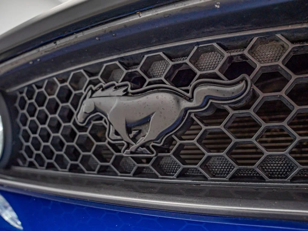 Used 2013 Blue Metallic Ford GT Premium image 13