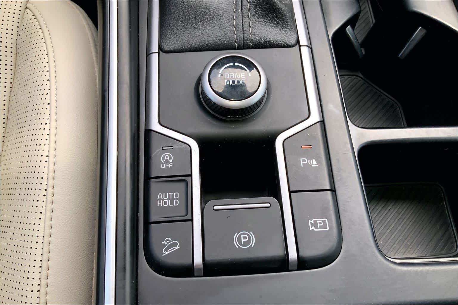 Used 2025 Panthera Metal Kia S image 29