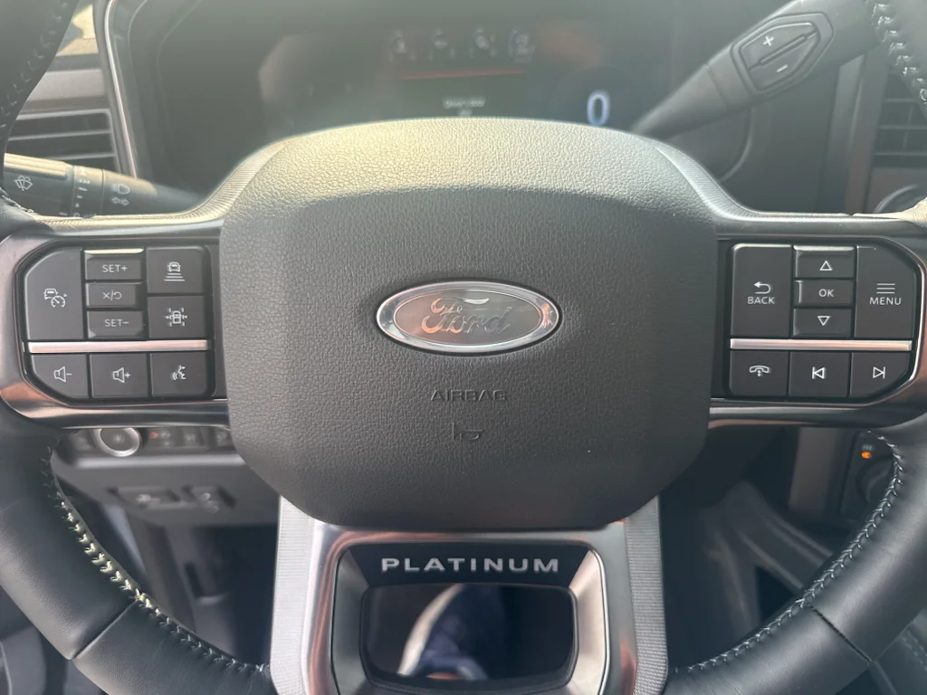 Used 2026 Glacier Ford Platinum image 10