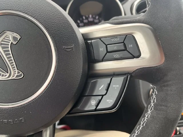 Used 2018 Race Red Ford Shelby GT350 image 23
