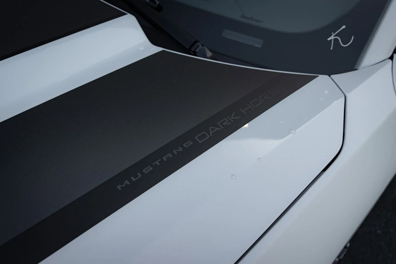 2025 Ford Mustang Dark Horse - Photo 15